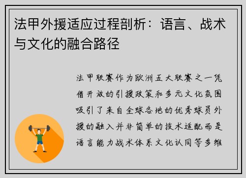 法甲外援适应过程剖析：语言、战术与文化的融合路径